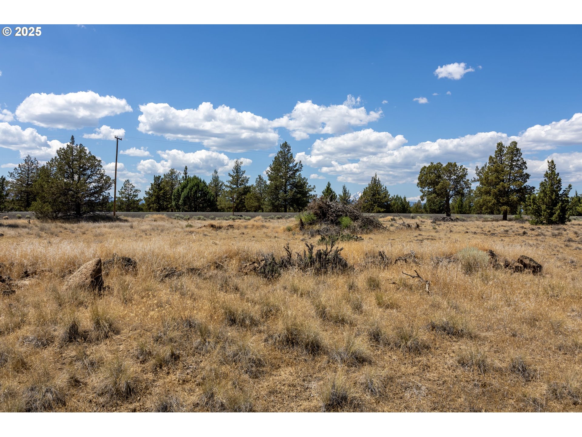13 Rim Park Culver, OR 97734 - Photo 26 of 28 a view of a dry yard