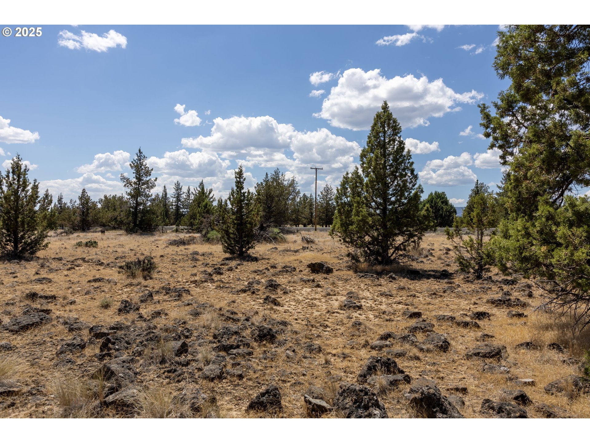 13 Rim Park Culver, OR 97734 - Photo 27 of 28 a view of a dry yard