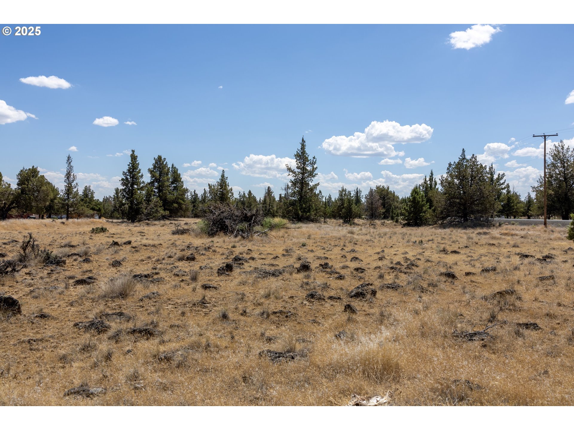 13 Rim Park Culver, OR 97734 - Photo 28 of 28 a view of a dry yard