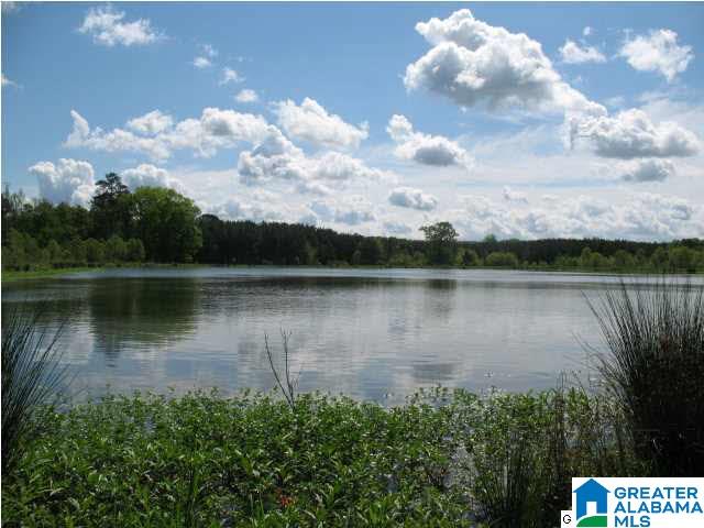 Pinedale Road, Unit 3 Ashville, AL 35953 - Photo 6 of 11
