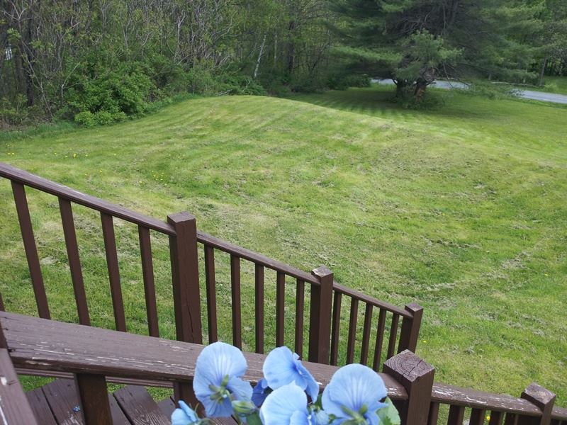 24 Warren Road Enfield, NH 03748 - Photo 38 of 39 Gallery Image 38