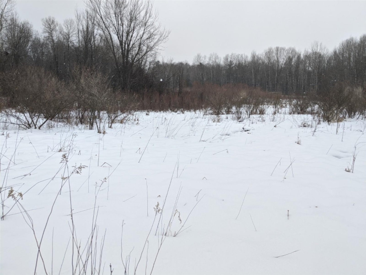 V/l North Larson Road Custer, MI 49405 - Photo 10 of 10