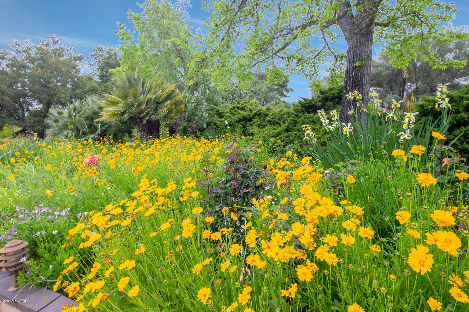 Front Yard Gardens