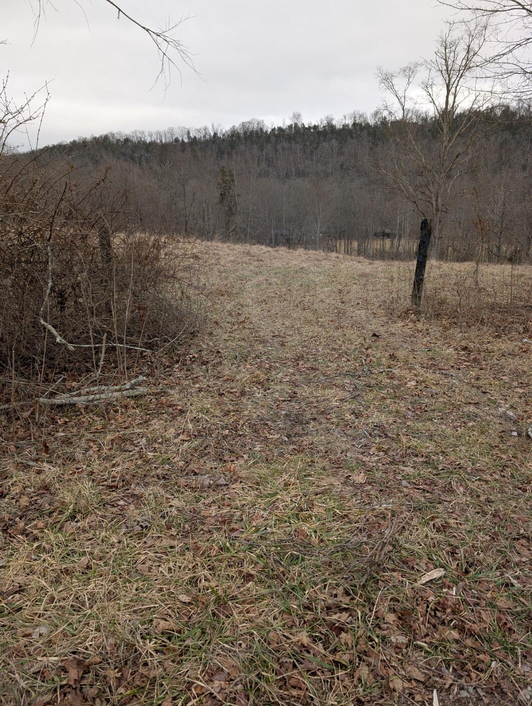 2654 Short Road Salvisa, KY 40372 - Photo 3 of 12 Entrance #2