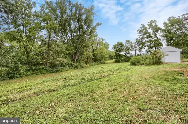 a view of yard with green space