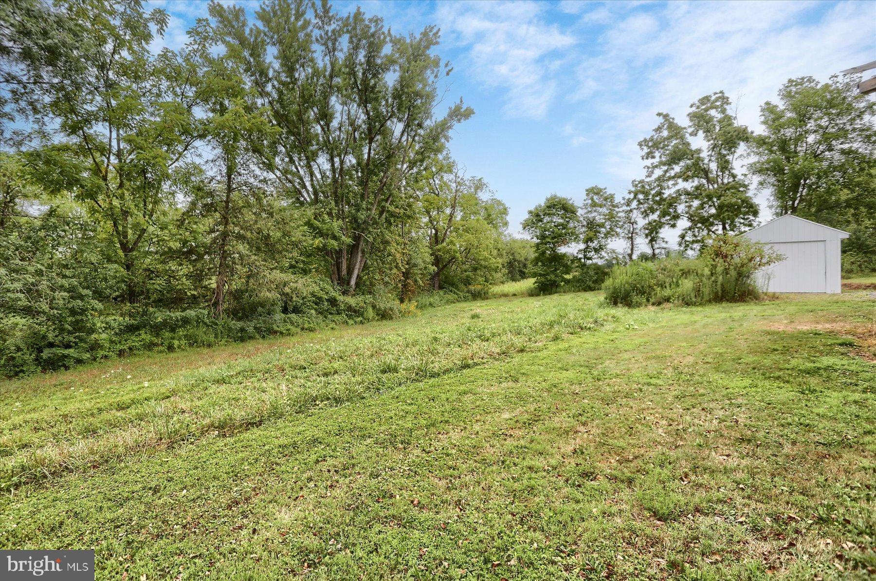 207 Mill Race Road Millerstown, PA 17062 - Photo 16 of 34 a view of yard with green space