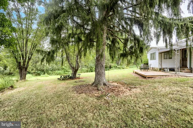 a view of a yard with a tree