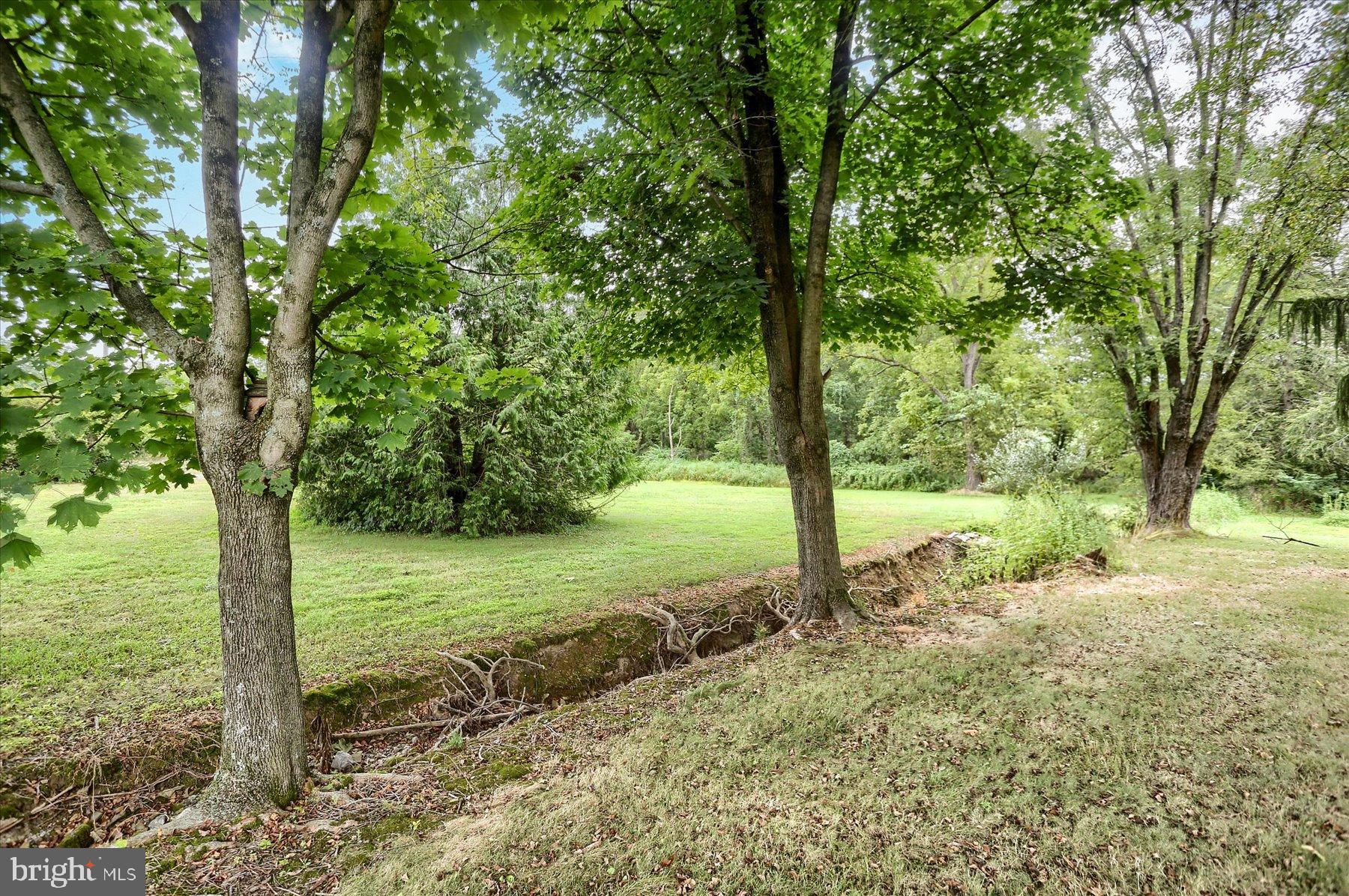 207 Mill Race Road Millerstown, PA 17062 - Photo 18 of 34 a view of a yard with a tree
