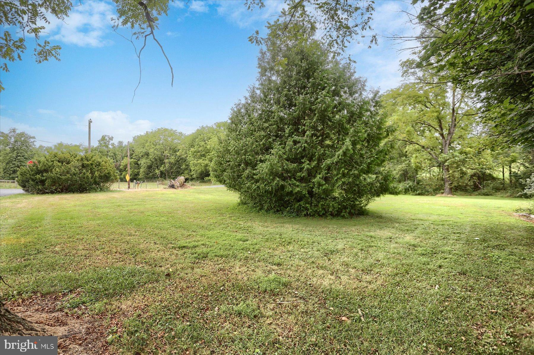 207 Mill Race Road Millerstown, PA 17062 - Photo 19 of 34 a view of a field with an trees