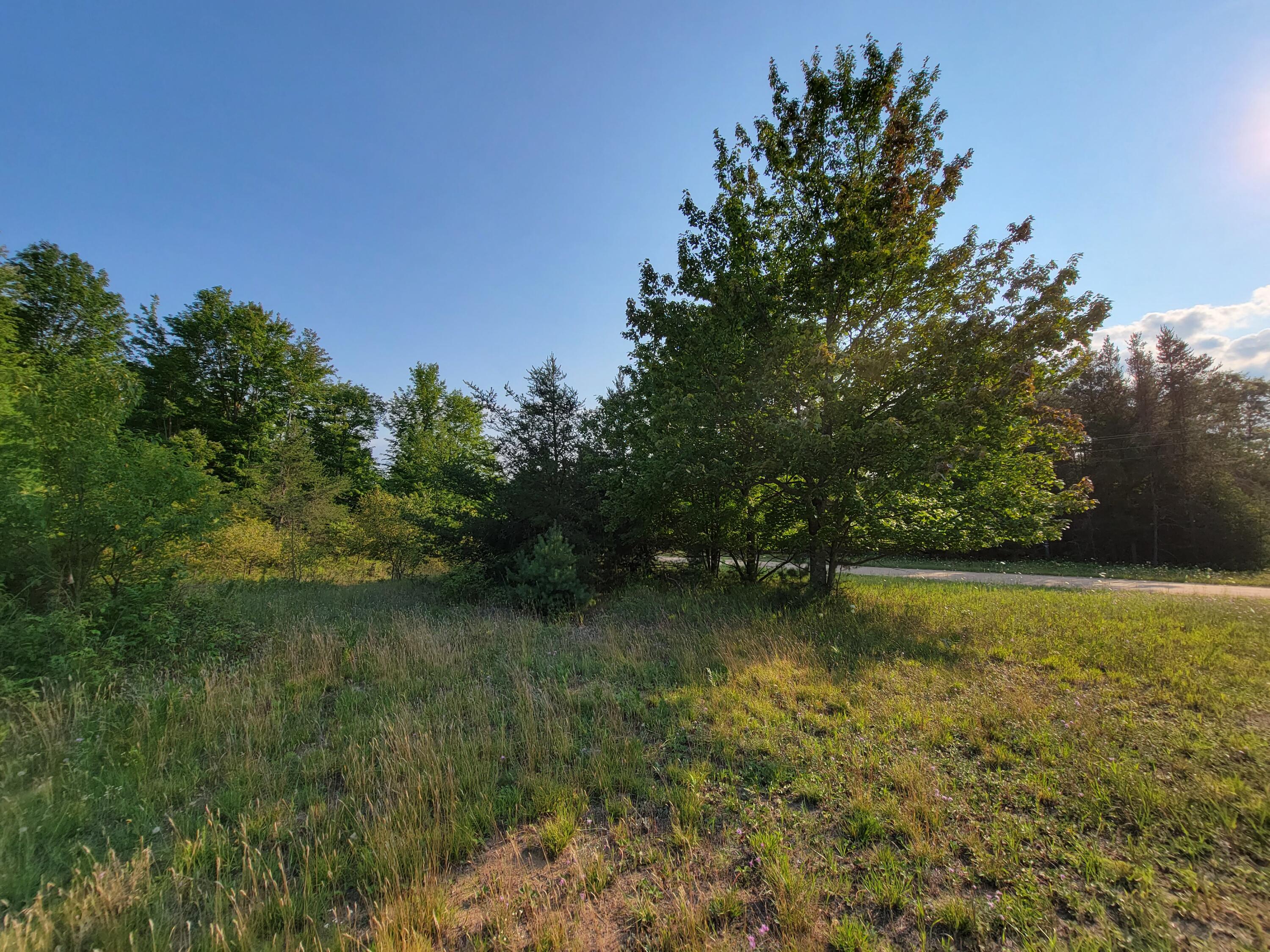 11381 Jouppi Road Kaleva, MI 49645 - Photo 25 of 51 20210727_183550