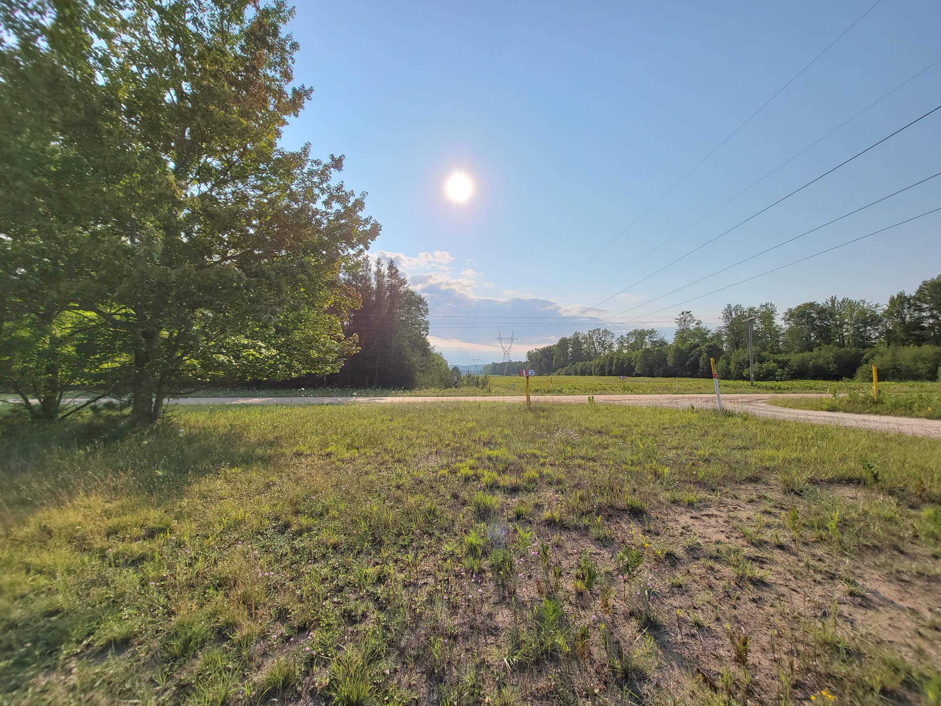 11381 Jouppi Road Kaleva, MI 49645 - Photo 26 of 51 20210727_183553