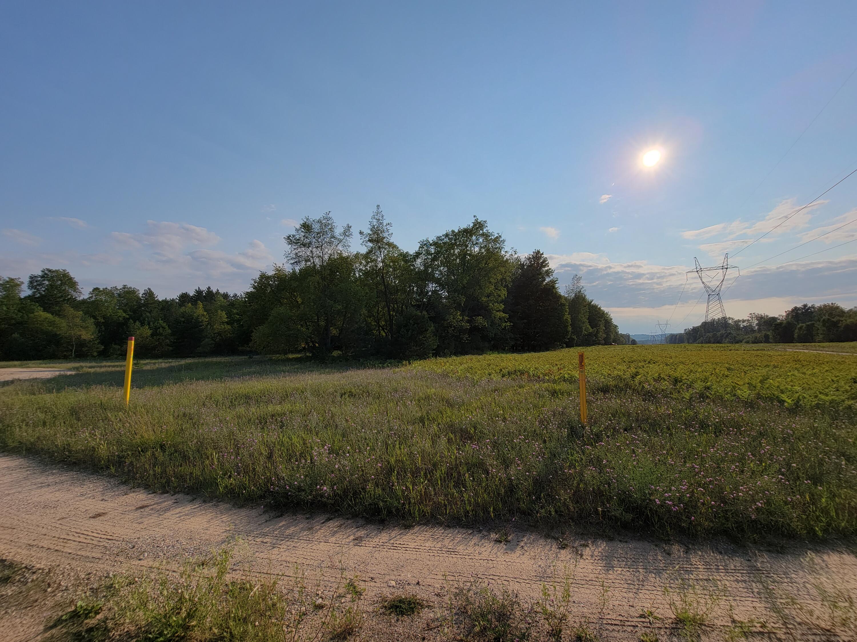 11381 Jouppi Road Kaleva, MI 49645 - Photo 45 of 51 20210727_184534