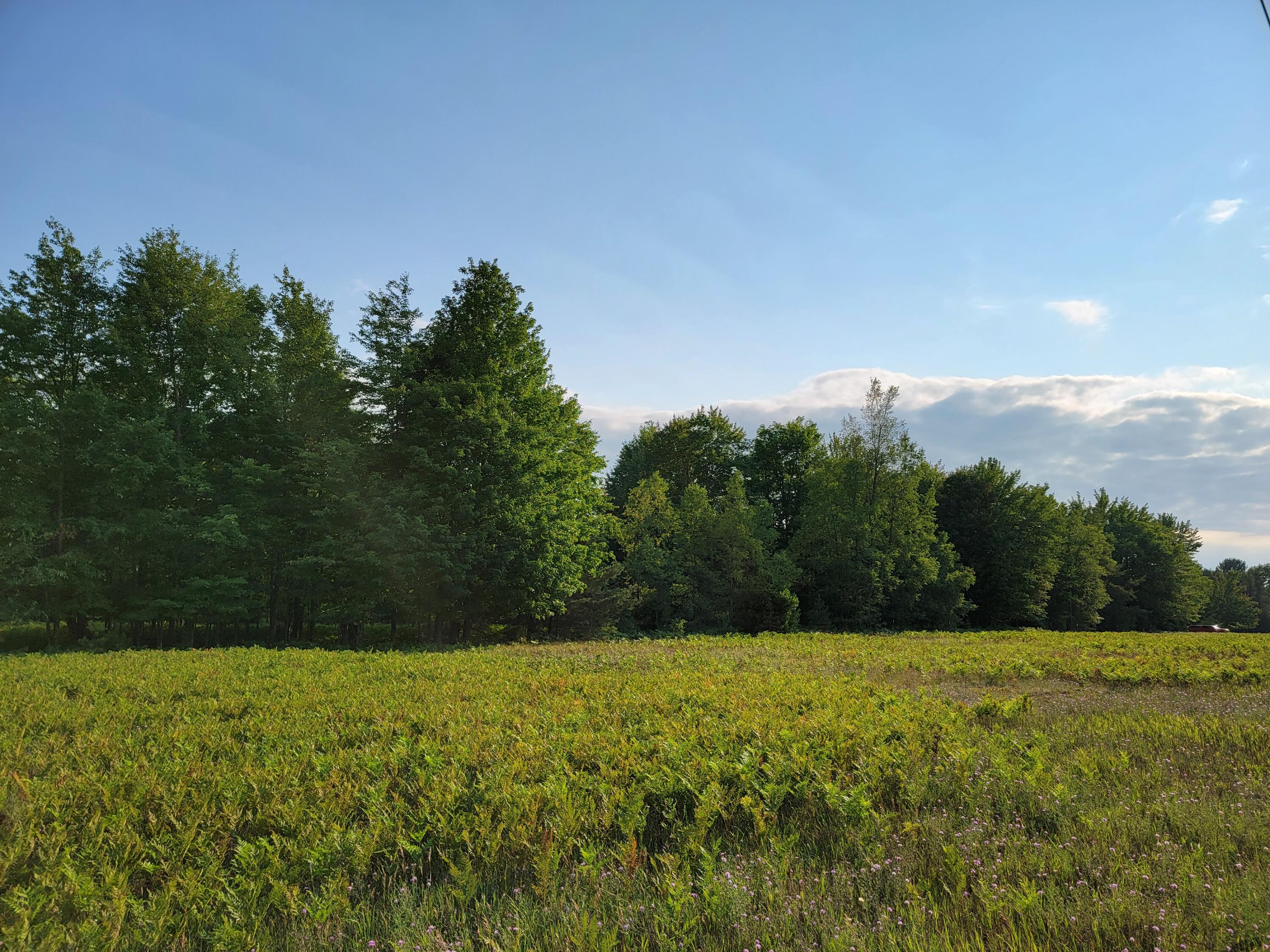 11381 Jouppi Road Kaleva, MI 49645 - Photo 47 of 51 20210727_184614