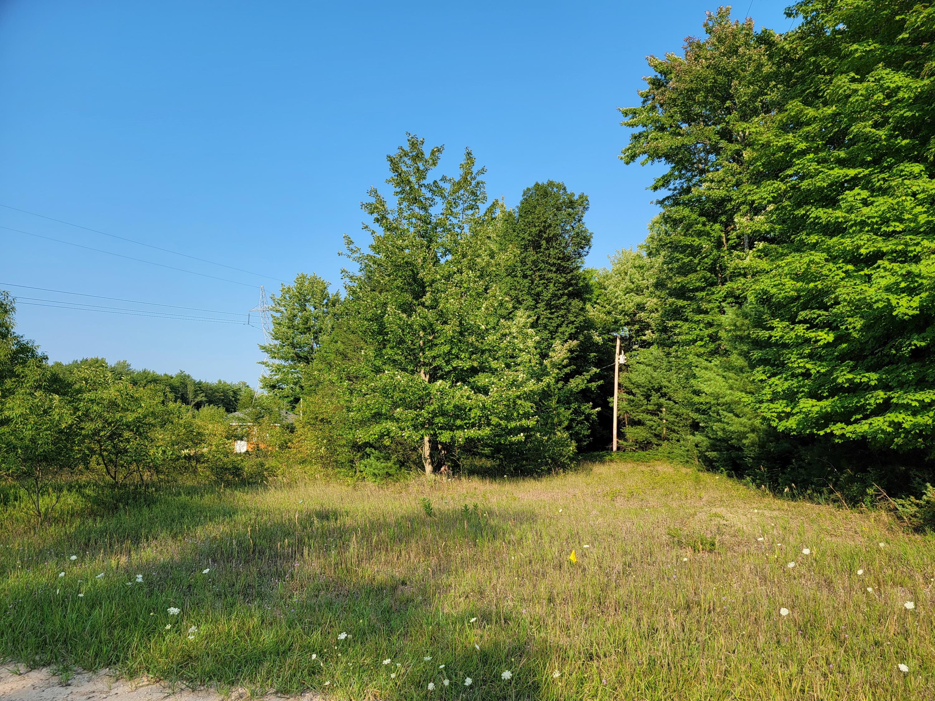 11381 Jouppi Road Kaleva, MI 49645 - Photo 49 of 51 20210727_184721
