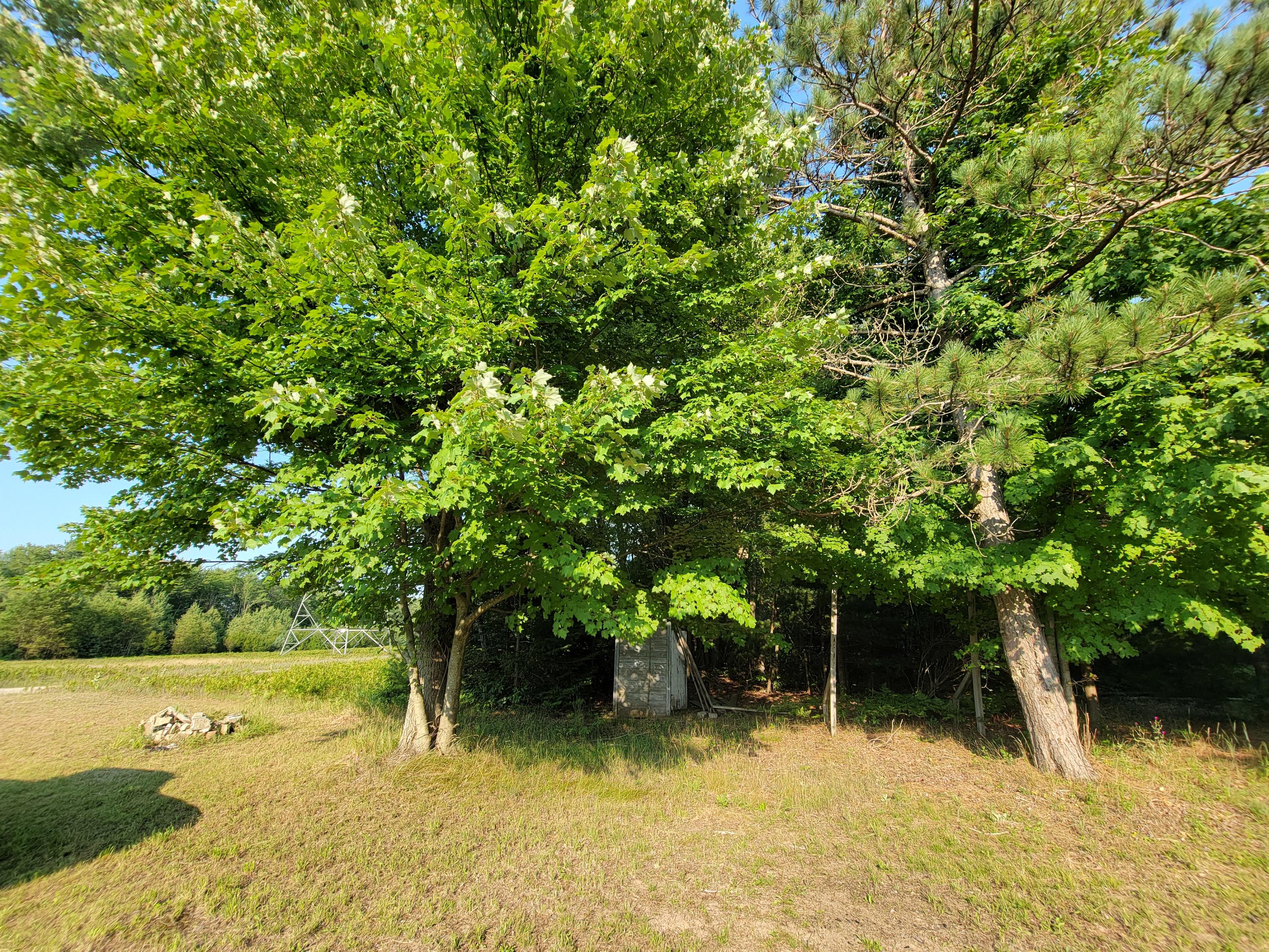 11381 Jouppi Road Kaleva, MI 49645 - Photo 7 of 51 20210727_183446