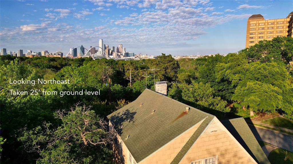 1439 Jr Drive Dallas, TX 75208 - Photo 39 of 39 a view of a city from a balcony