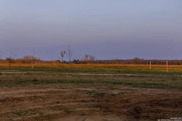 a view of an ocean with large trees