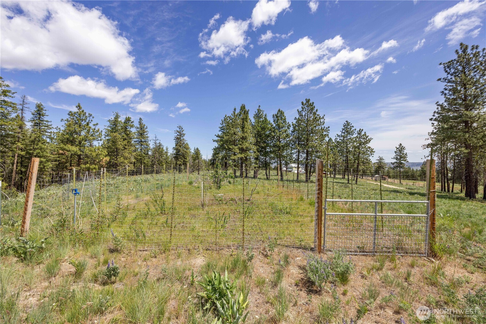 493 Bill Oules Road Chelan, WA 98816 - Photo 18 of 30 Gallery Image 18