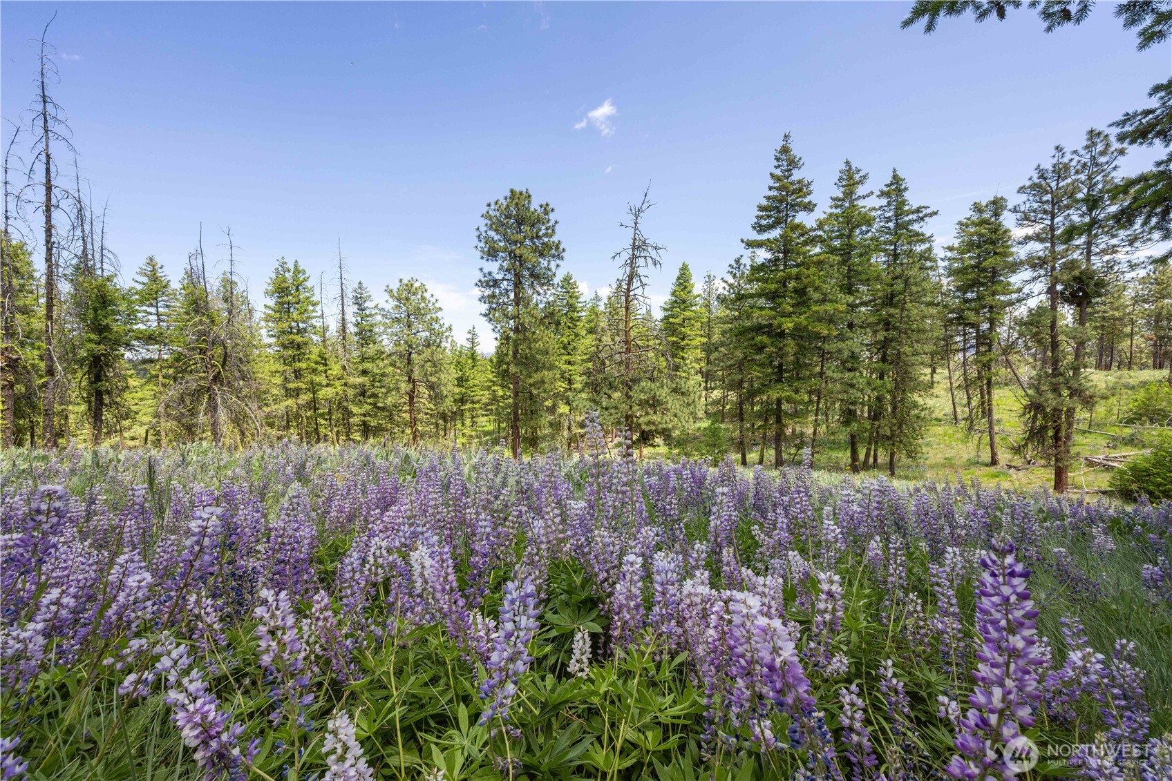 493 Bill Oules Road Chelan, WA 98816 - Photo 21 of 30 Gallery Image 21