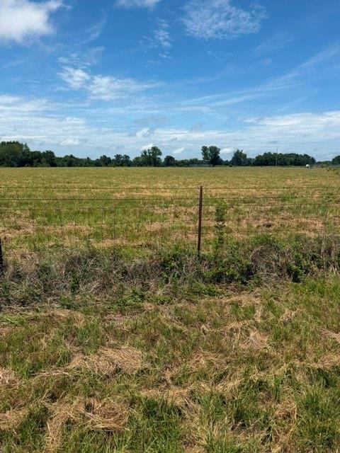 0 Vz County Road Ben Wheeler, TX 75754 - Photo 1 of 5 Gallery Image 1