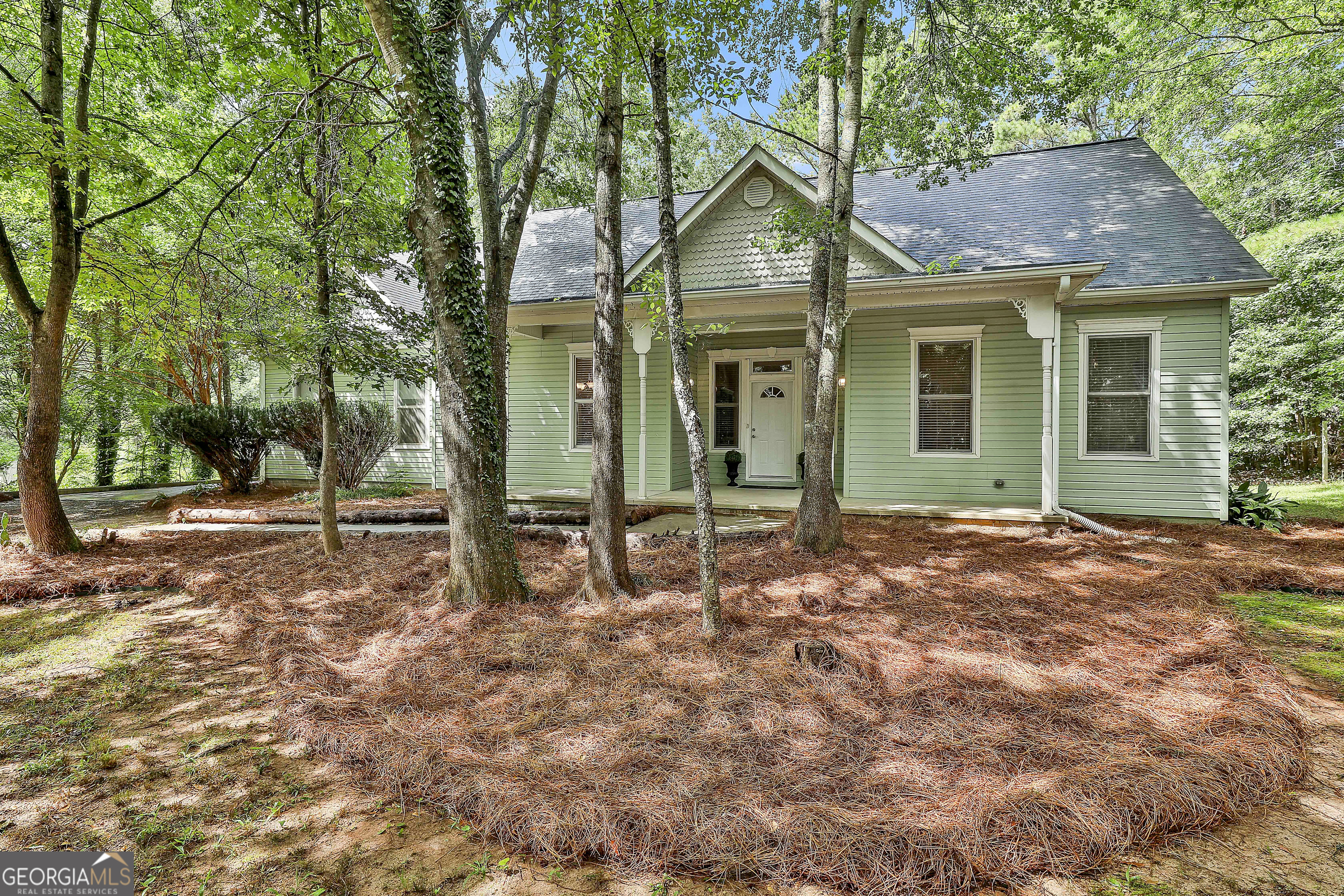 615 New Hope Road, Unit SUBDIVISION Fayetteville, GA 30214 - Photo 2 of 45