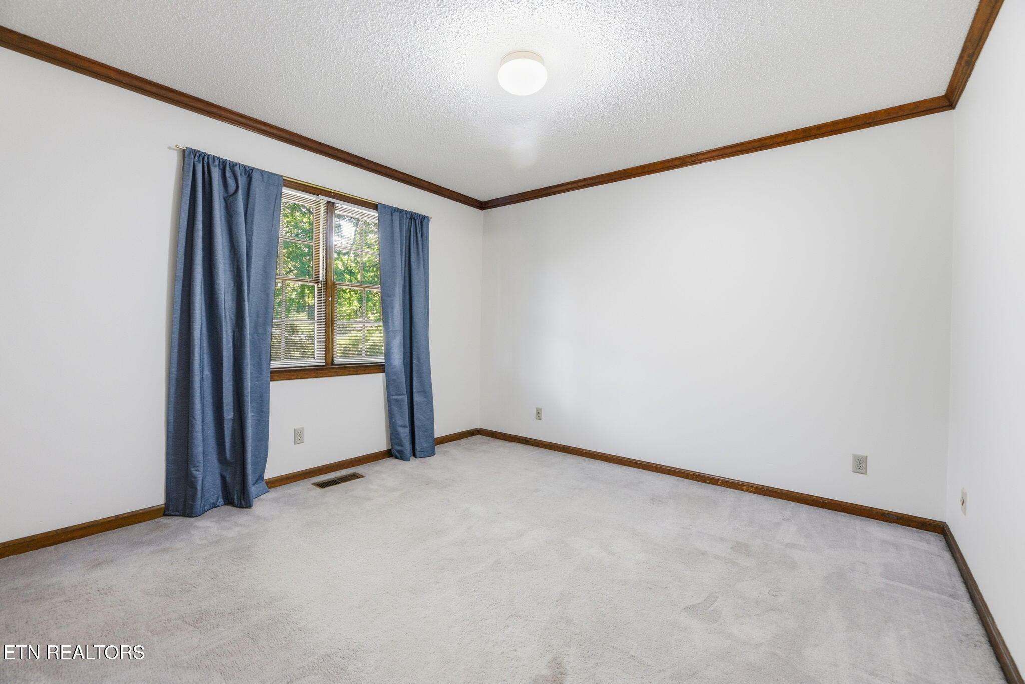 135 Claremont Road Oak Ridge, TN 37830 - Photo 28 of 49 29-web-or-mls-DSC_1250