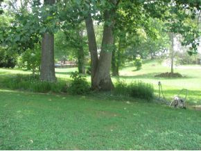 352 Conklin Road Jonesborough, TN 37659 - Photo 8 of 15 Photo 8