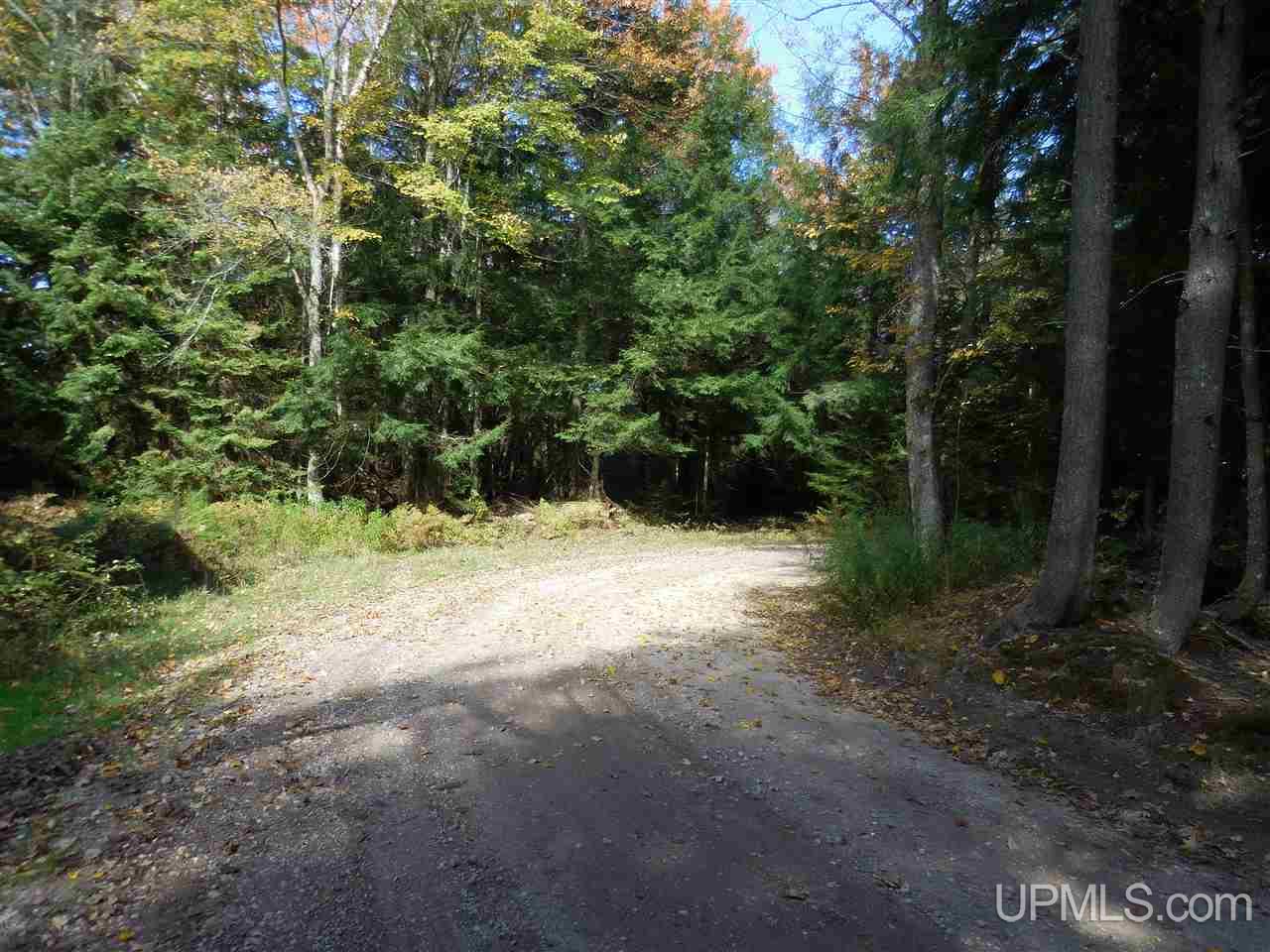 12 Acres Off Rice Road Manistique, MI 49854 - Photo 11 of 14