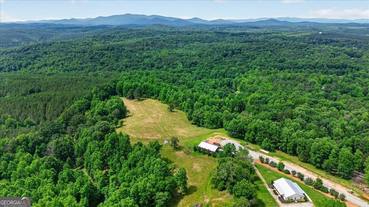 0 Conns Creek Road, Unit 2 Ball Ground, GA 30107 - Photo 32 of 57