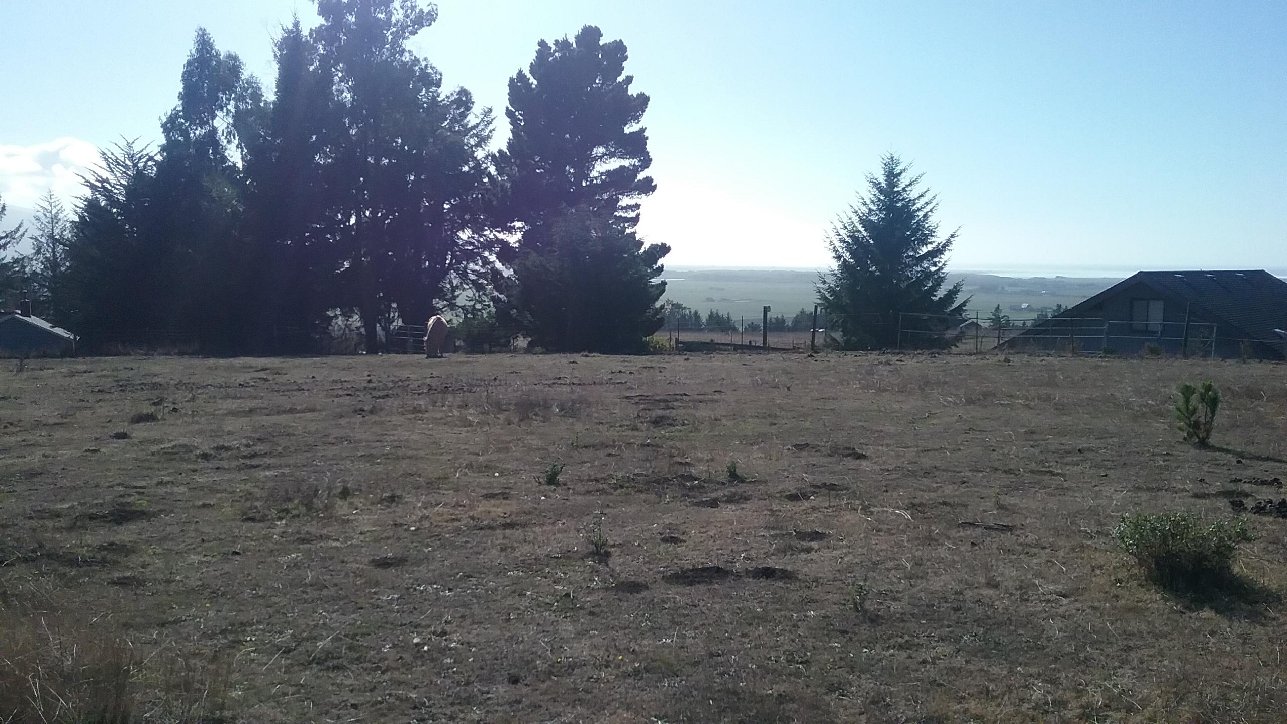 20181029_150823