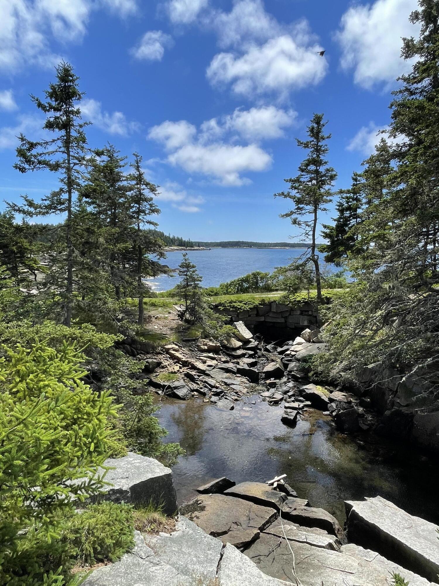 7 Blair Road Vinalhaven, ME 04863 - Photo 5 of 53 B26D0464-4B54-4FAA-8E36-9D99E803D5F6