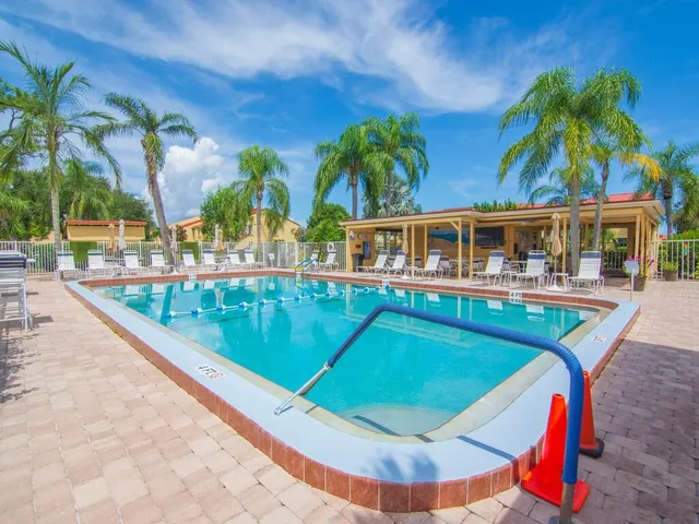 swimming pool view with a garden and plants