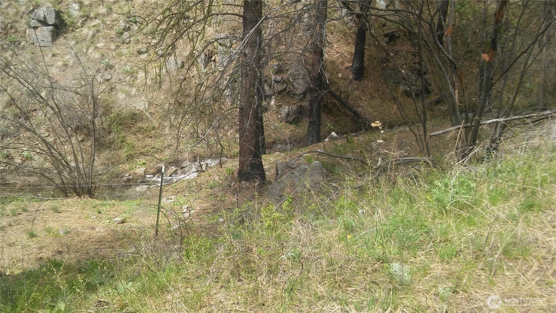 0 North Fork Salmon Creek Road Conconully, WA 98819 - Photo 2 of 6