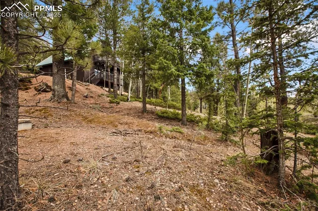 a view of a yard with large trees