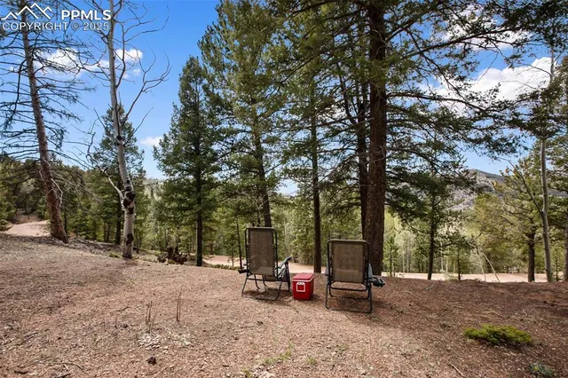 a view of a park with large trees
