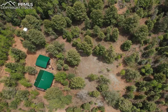 a backyard of a house with lots of plants and tree