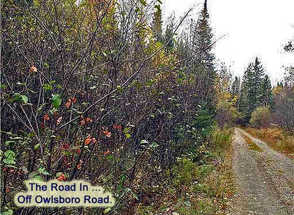Lot 1 Mountain Rd Mount Mount Chase, ME 04765 - Photo 8 of 9 off-owlsboro-road-3