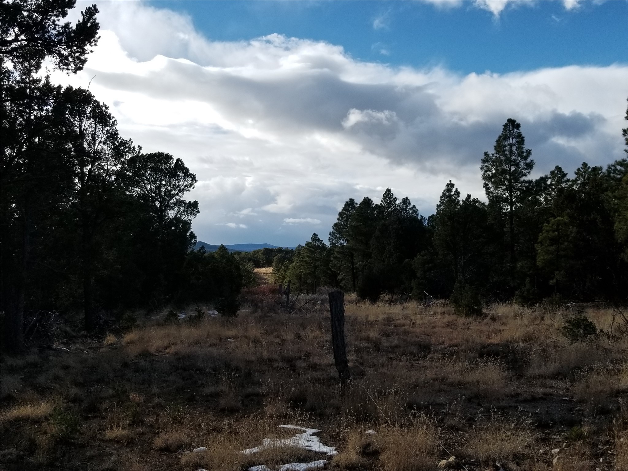 Tbd Tbd Pecos Pecos, NM 87552 - Photo 2 of 6
