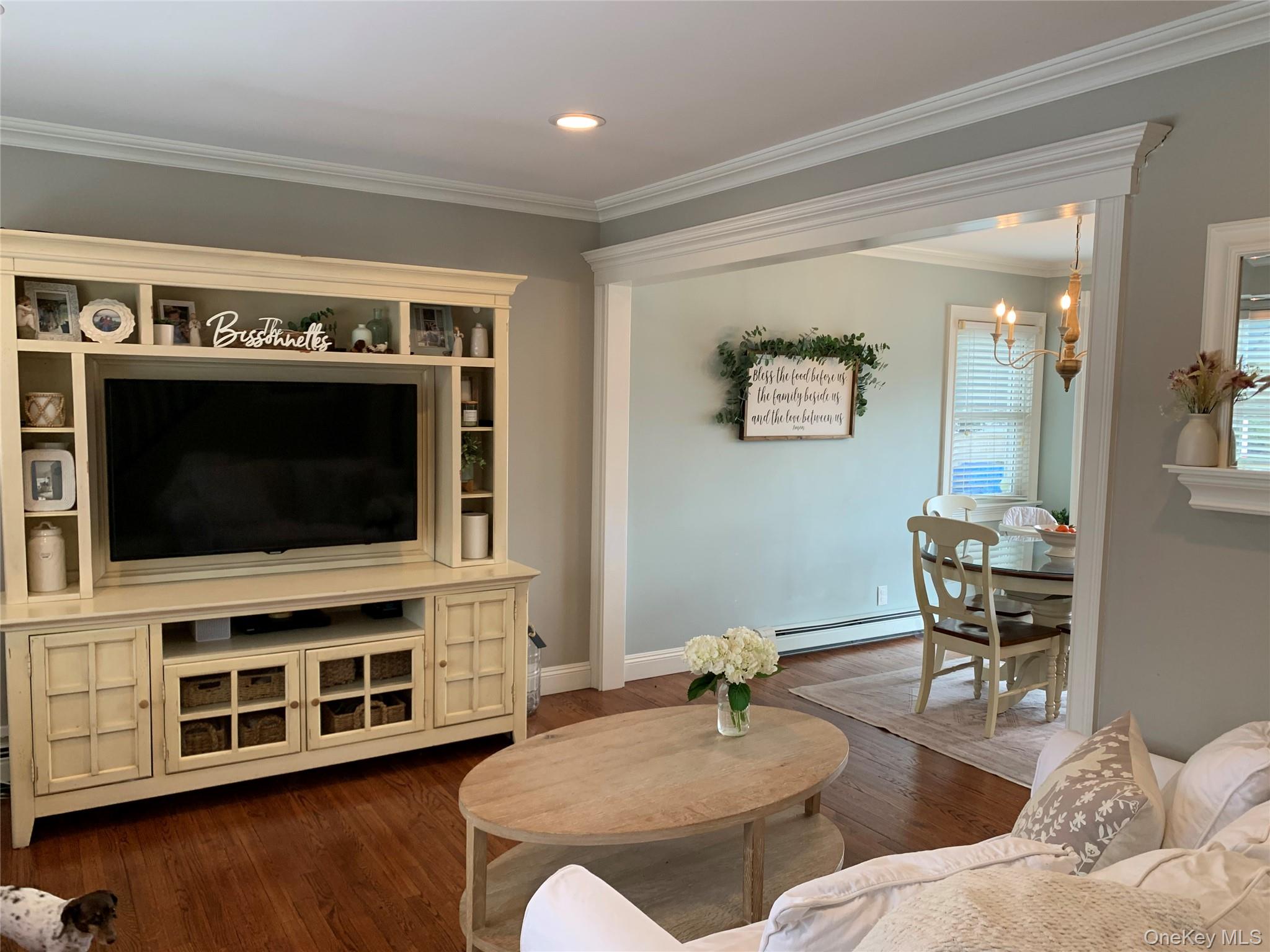 6 Robinson Street Shoreham, NY 11786 - Photo 4 of 28 a living room with furniture and a flat screen tv