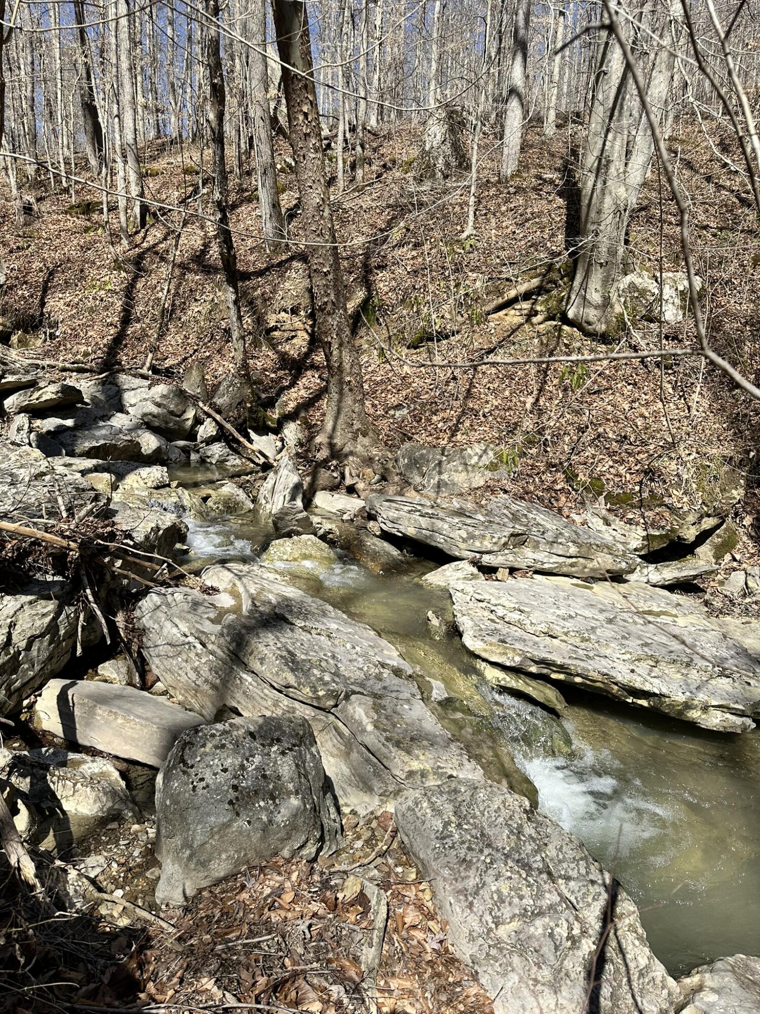 460.2 Cow Creek Road Ravenna, KY 40472 - Photo 23 of 46 Creek!