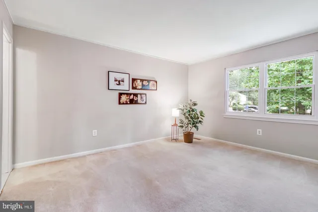 an empty room with windows and flower pot