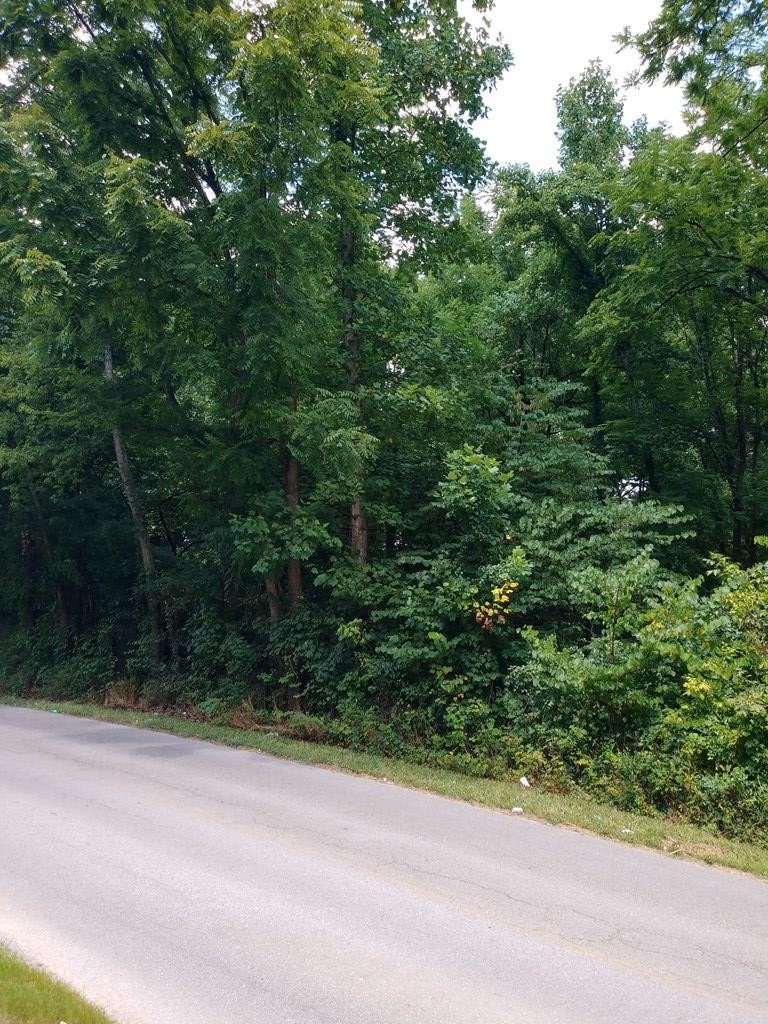 251 Blueberry Hill Road Dayton, TN 37321 - Photo 4 of 7 Gallery Image 4