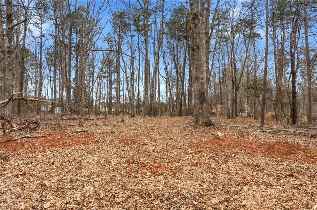 7638 Jackson School Road, Unit A Browns Summit, NC 27214 - Photo 40 of 44