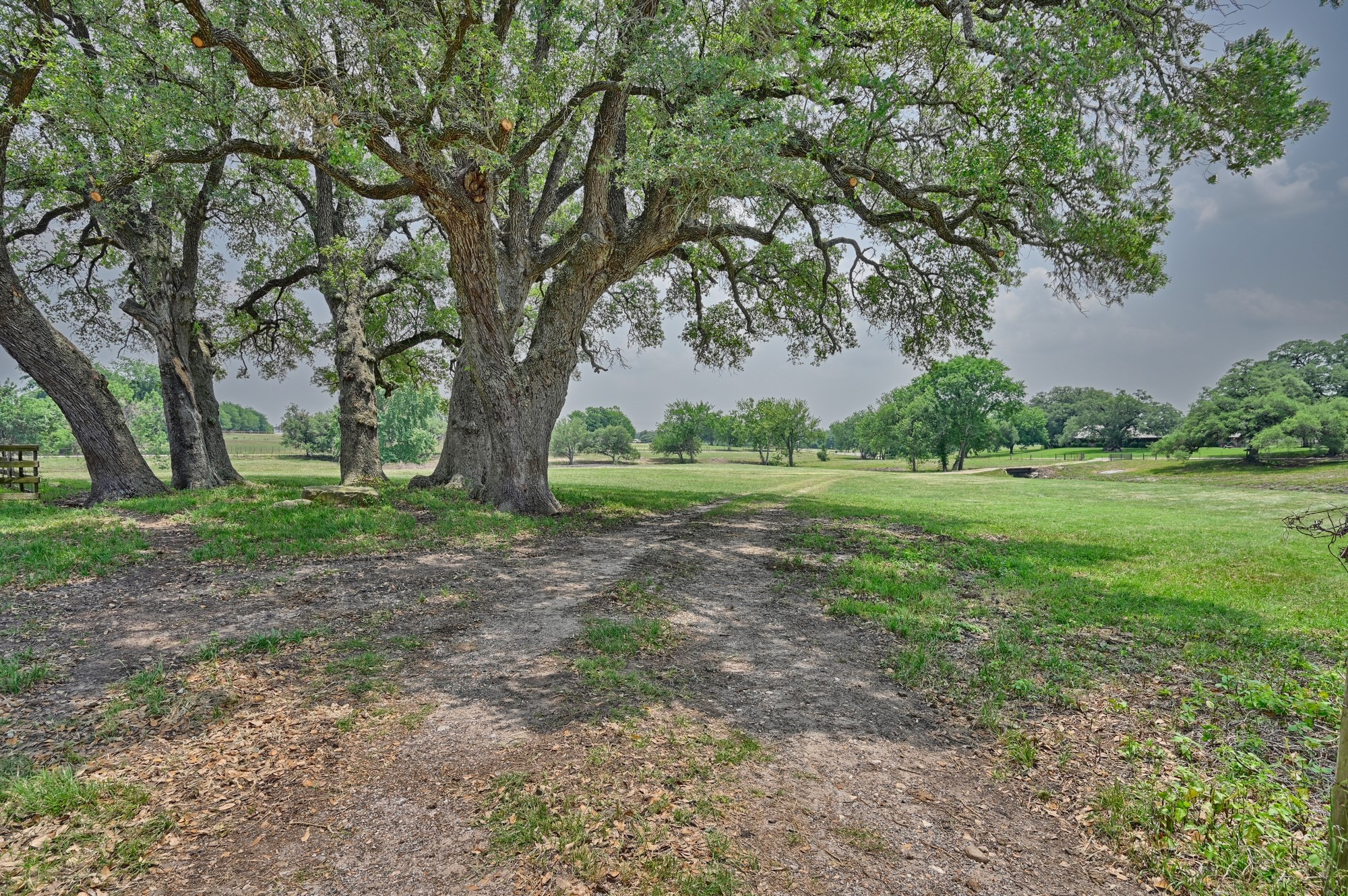 7009 Sandy Hill Road Brenham, TX 77833 - Photo 11 of 41 a view of outdoor space with green field and trees