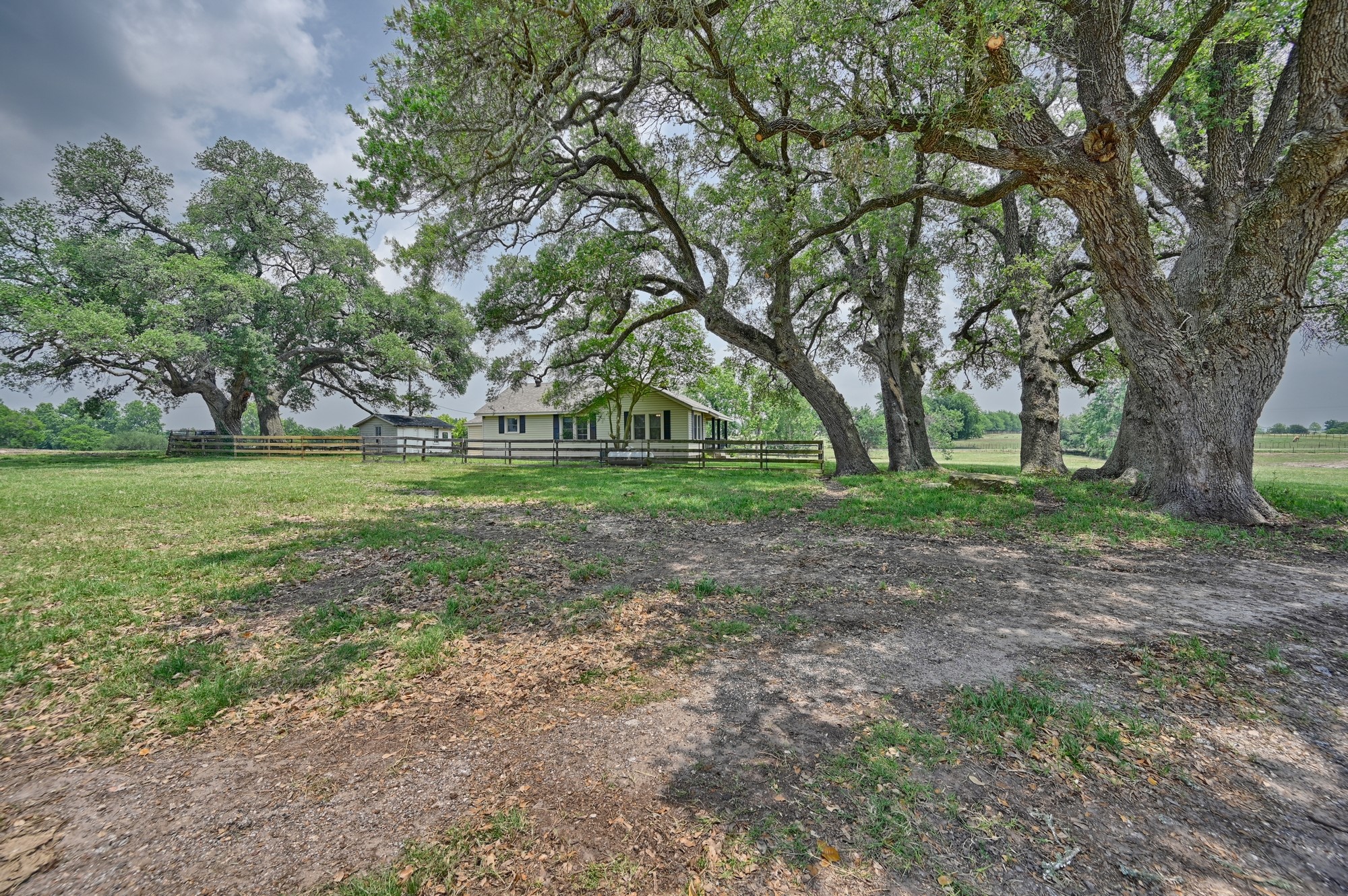 7009 Sandy Hill Road Brenham, TX 77833 - Photo 14 of 41 a view of a big yard with green space