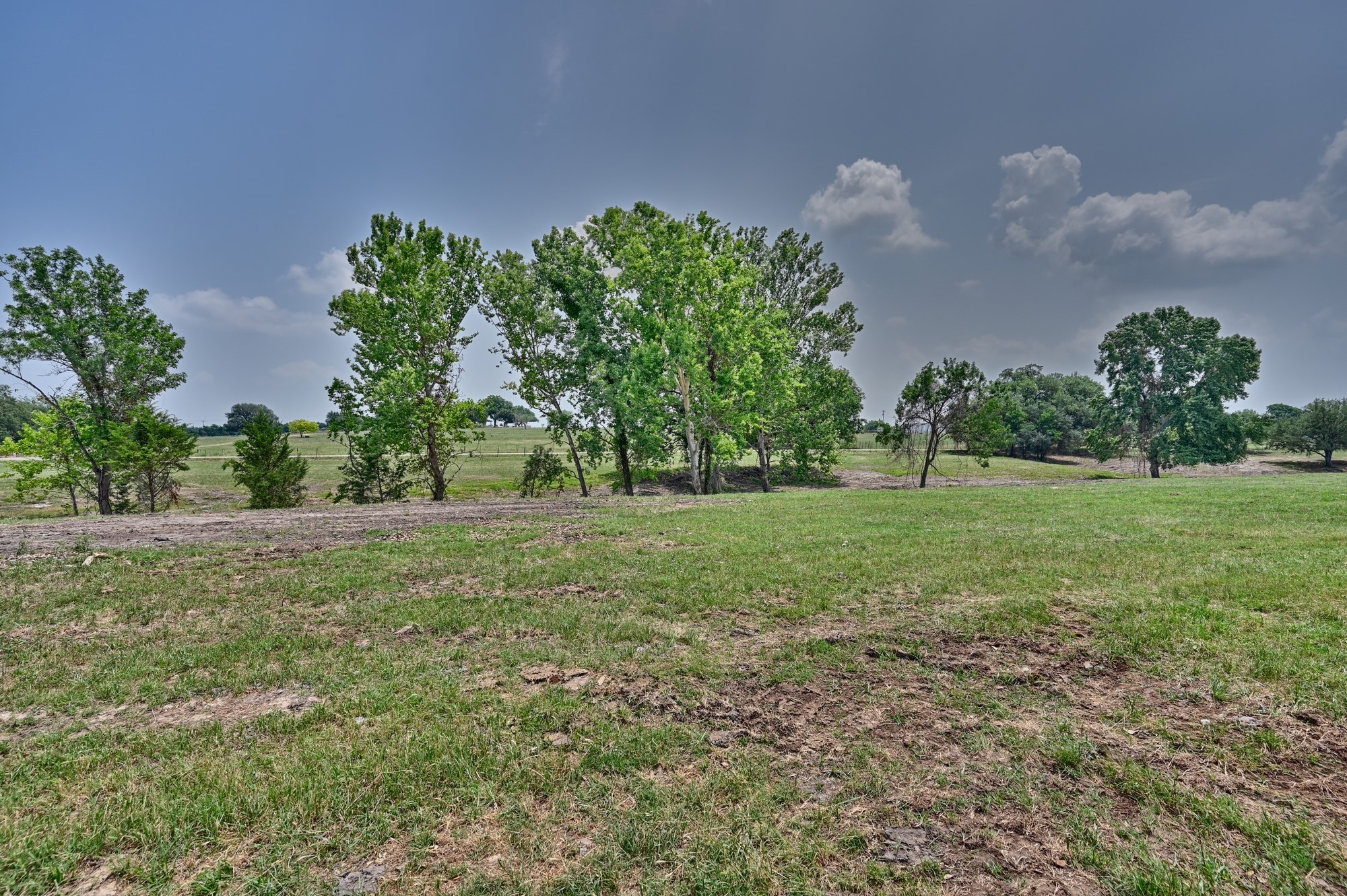 7009 Sandy Hill Road Brenham, TX 77833 - Photo 31 of 41 a view of a field with trees