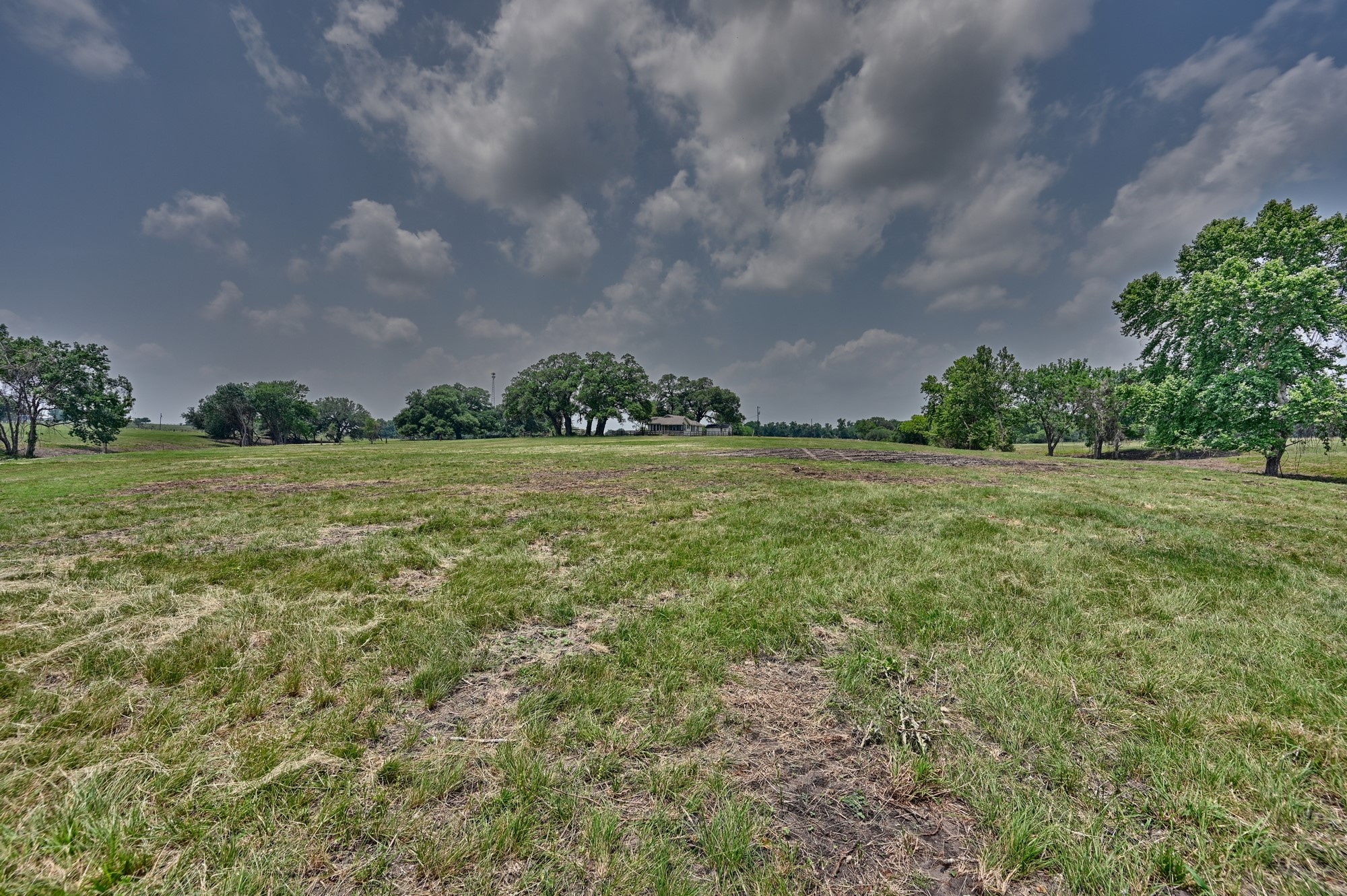 7009 Sandy Hill Road Brenham, TX 77833 - Photo 34 of 41 a view of a grassy field with trees in the background