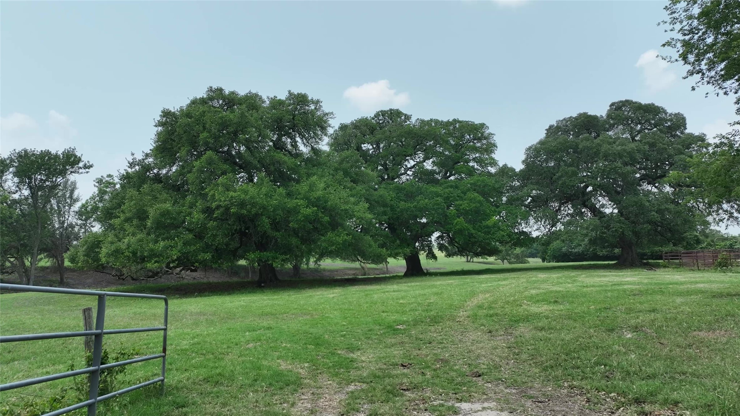 7009 Sandy Hill Road Brenham, TX 77833 - Photo 38 of 41 a view of a green field with wooden fence