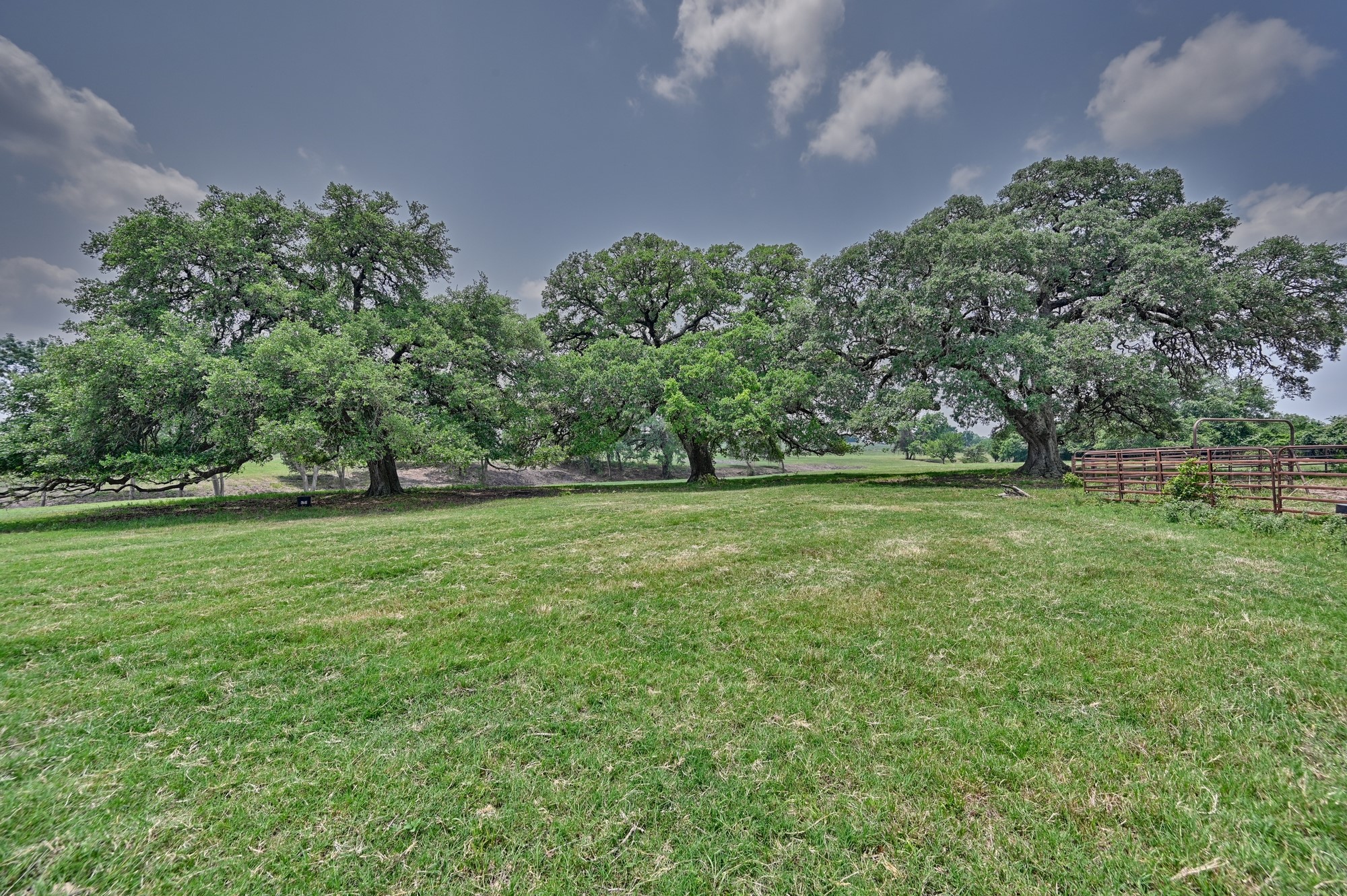 7009 Sandy Hill Road Brenham, TX 77833 - Photo 8 of 41 a view of outdoor space with deck and yard