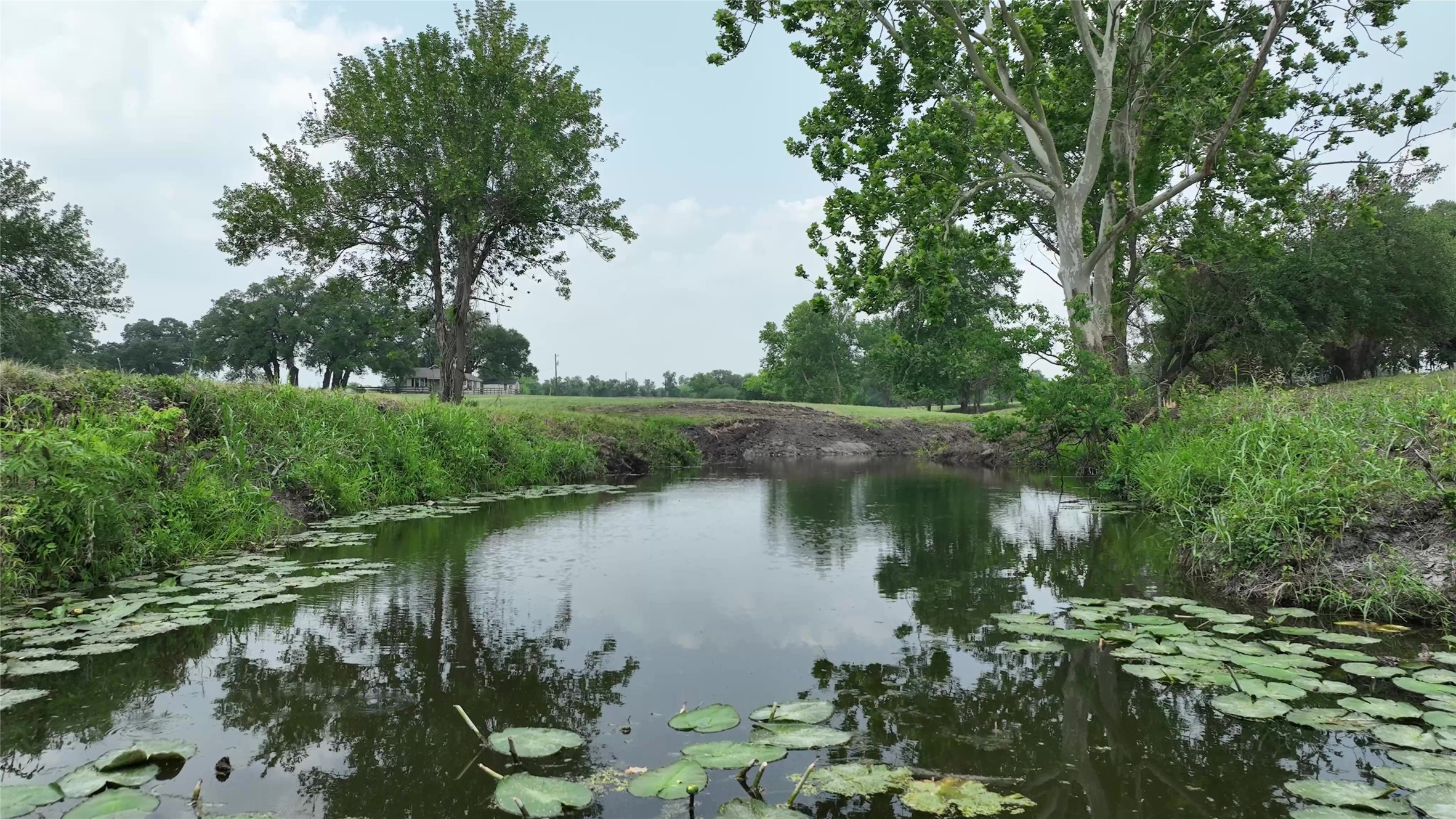 7009 Sandy Hill Road Brenham, TX 77833 - Photo 9 of 41 a view of lake with green space
